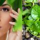 Malabar spinach – the 'green secret' for brightening skin, tightening pores, and preventing aging.