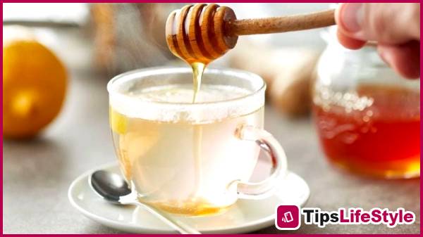 images 1 of 5 common drinks that help burn fat and maintain a slim figure this summer.
