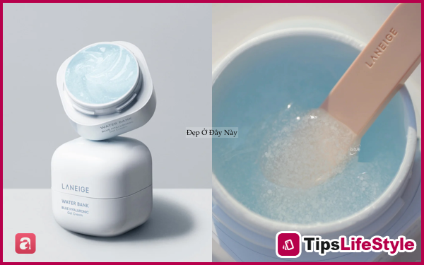 images 5 of 5 cooling, fast-absorbing moisturizing gels that are essential summer essentials.