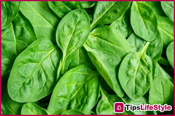 images 2 of 2 foods that provide sun protection from the inside out: They're great for your skin and help with weight loss.