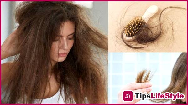 images 1 of Adding salt to egg hair masks: a simple secret to strengthen hair and reduce hair loss.