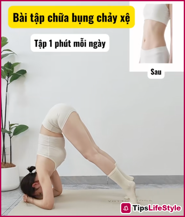 images 2 of One minute of exercise at home each day helps tighten the waist and slim down the arms and thighs.