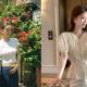 4 must-have white shirt styles for summer 2026 that will elevate your style and give you a fresh look.