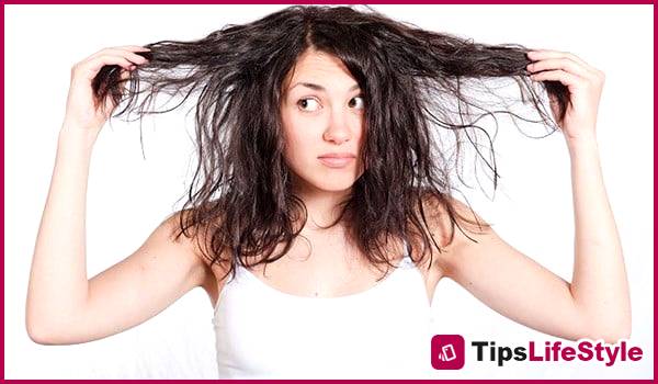 images 2 of Oily scalp: 5 simple ways to keep your hair clean, fresh, and healthy.
